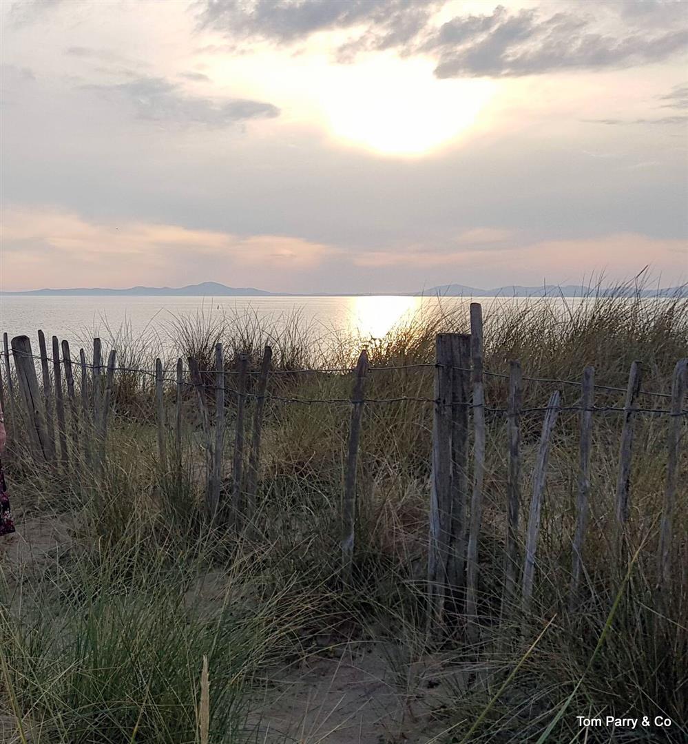 Dunes close to bungalow.jpg